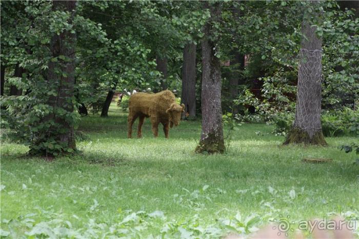 Волгоград - Беларусь - Волгоград