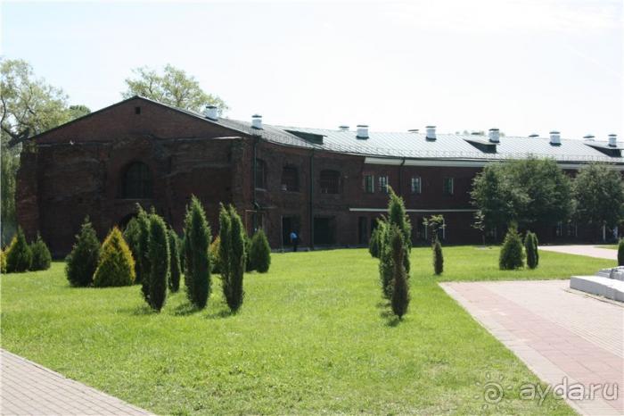 Волгоград - Беларусь - Волгоград