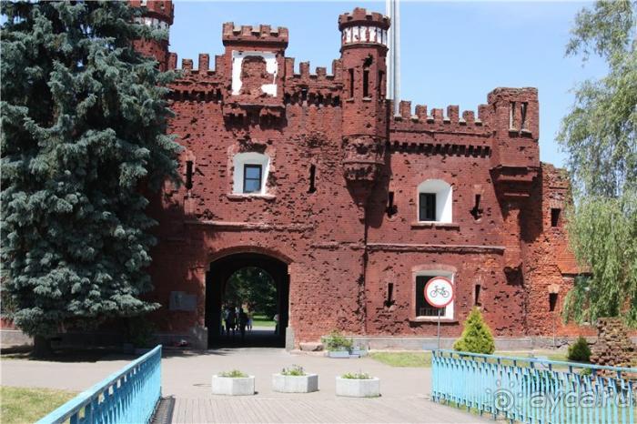 Волгоград - Беларусь - Волгоград