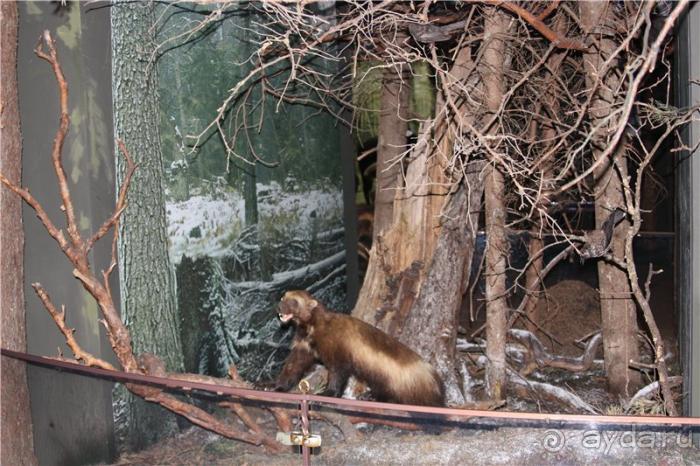 Волгоград - Беларусь - Волгоград