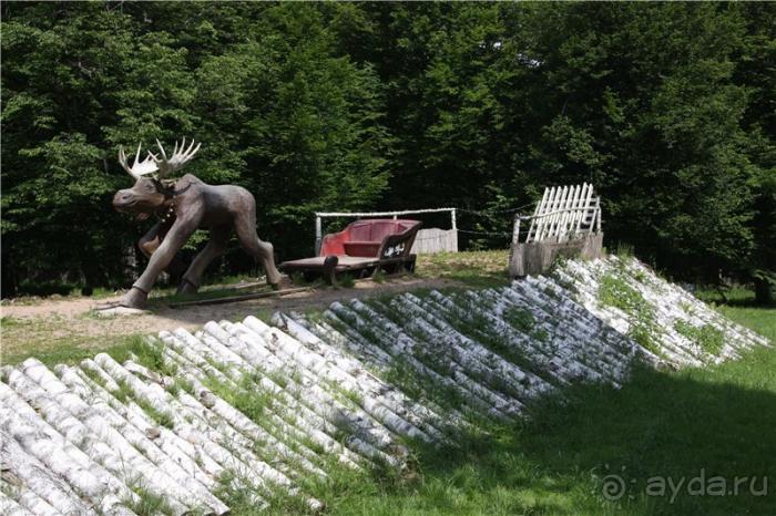 Волгоград - Беларусь - Волгоград