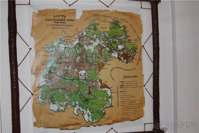 Волгоград - Беларусь - Волгоград