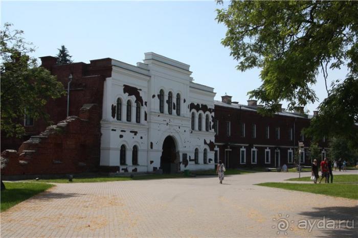 Волгоград - Беларусь - Волгоград