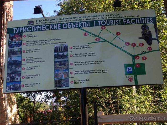 Волгоград - Беларусь - Волгоград