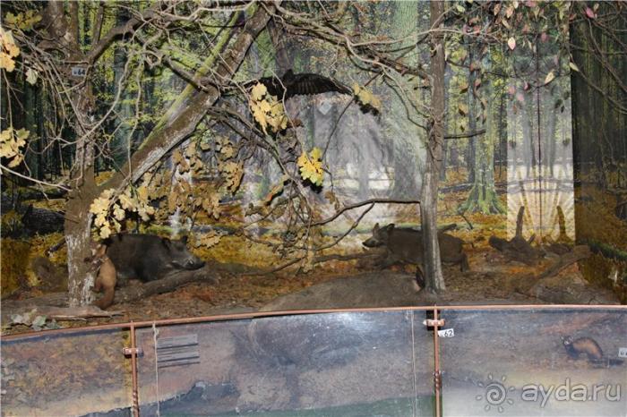 Волгоград - Беларусь - Волгоград