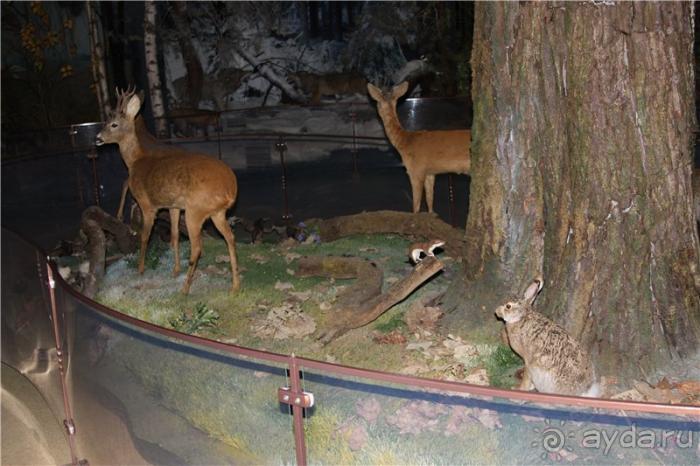 Волгоград - Беларусь - Волгоград