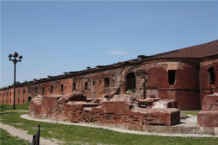 Волгоград - Беларусь - Волгоград