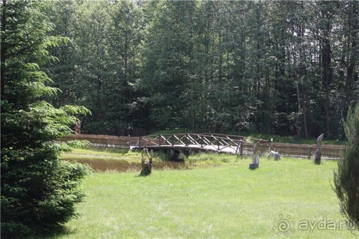 Волгоград - Беларусь - Волгоград