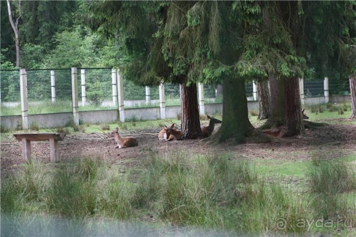 Волгоград - Беларусь - Волгоград