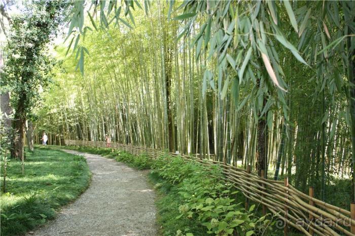 Волгоград - АБХАЗИЯ - Волгоград