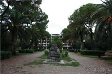 Волгоград - АБХАЗИЯ - Волгоград