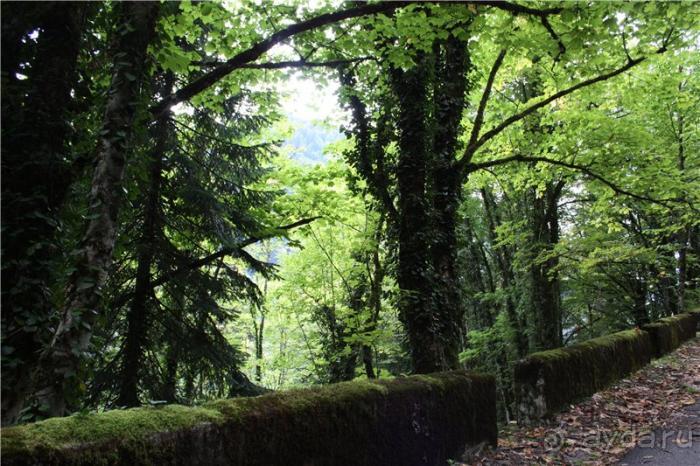 Волгоград - АБХАЗИЯ - Волгоград