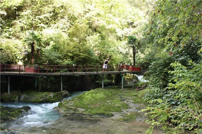 Волгоград - АБХАЗИЯ - Волгоград
