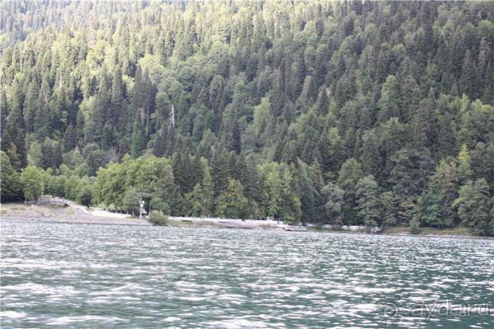 Волгоград - АБХАЗИЯ - Волгоград