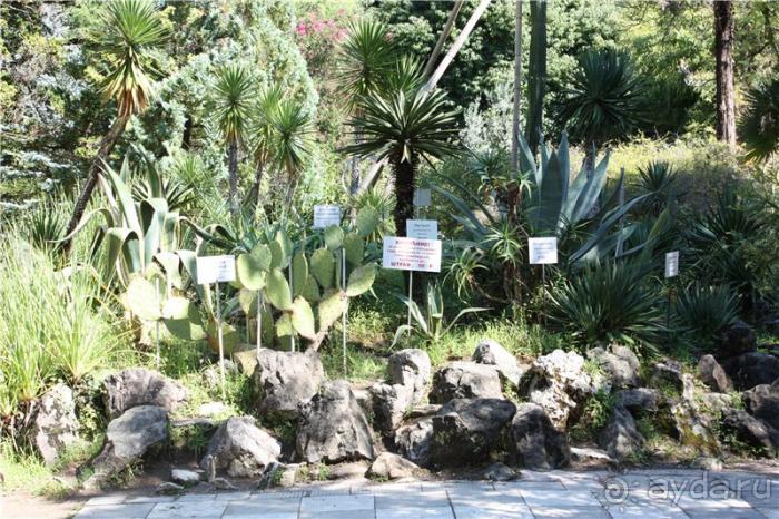 Волгоград - АБХАЗИЯ - Волгоград