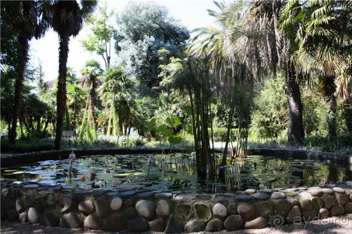 Волгоград - АБХАЗИЯ - Волгоград