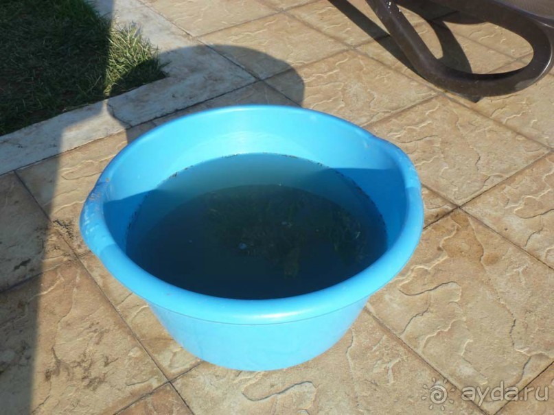 Кипр в октября