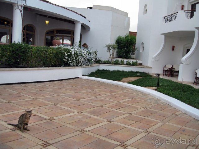 фото Iberotel Palace