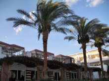 фото Iberotel Palace