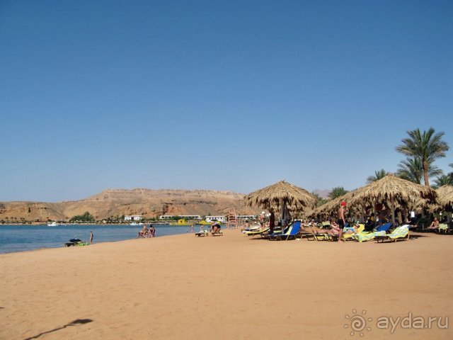 фото Iberotel Palace