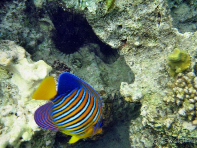 фото Hotel Pure Salt Garonda