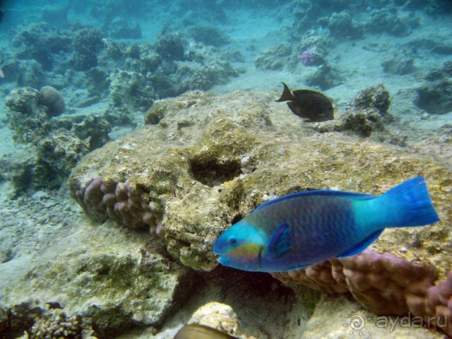 фото Hotel Pure Salt Garonda