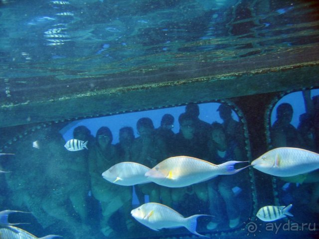 фото Hotel Pure Salt Garonda