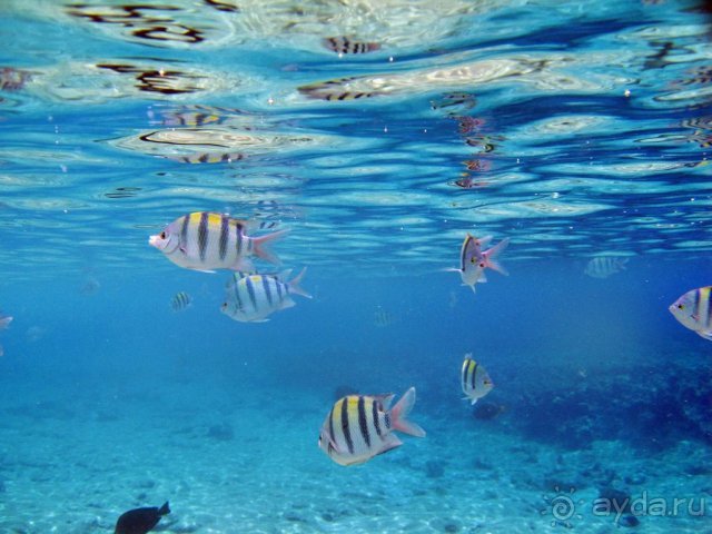 фото Hotel Pure Salt Garonda