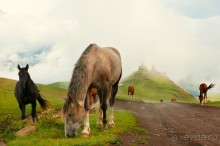 Альбом отзыва "Грузия - Армения. Путешествие на машине 2014год"
