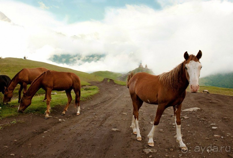 Грузия - Армения. Путешествие на машине 2014год