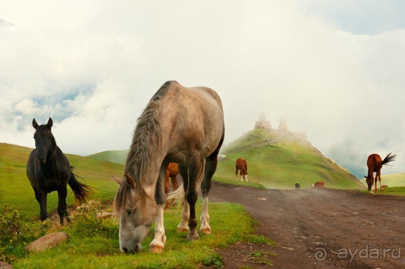 Грузия - Армения. Путешествие на машине 2014год
