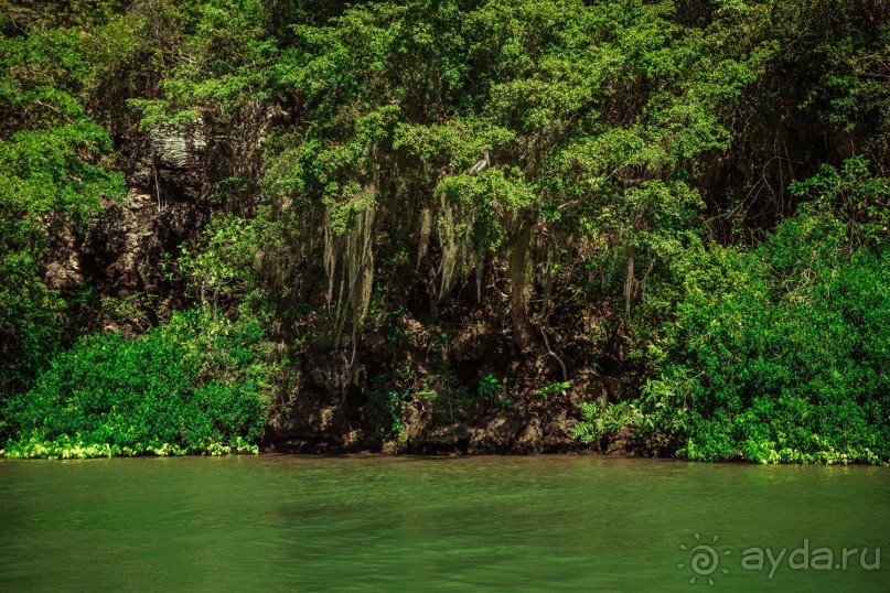 Отличная экскурсия!