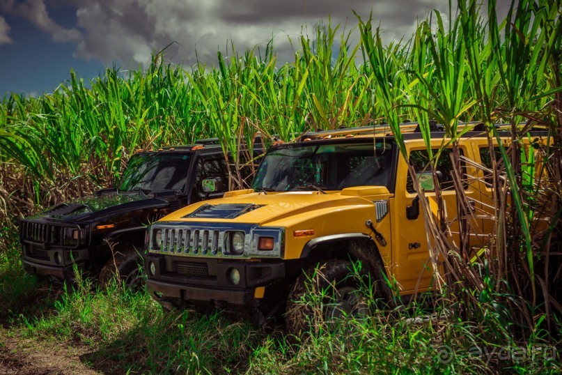 Отличная экскурсия!