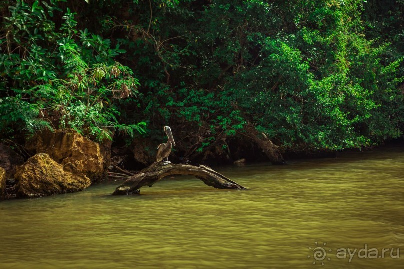 Отличная экскурсия!