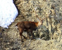 Душевный , спокойный, колоритный отдых на берегу Волги!!!