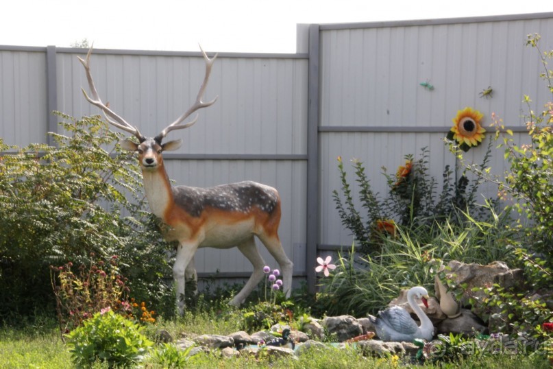 Душевный , спокойный, колоритный отдых на берегу Волги!!!