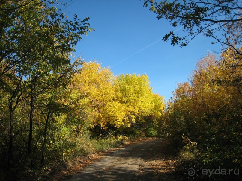 Душевный , спокойный, колоритный отдых на берегу Волги!!!