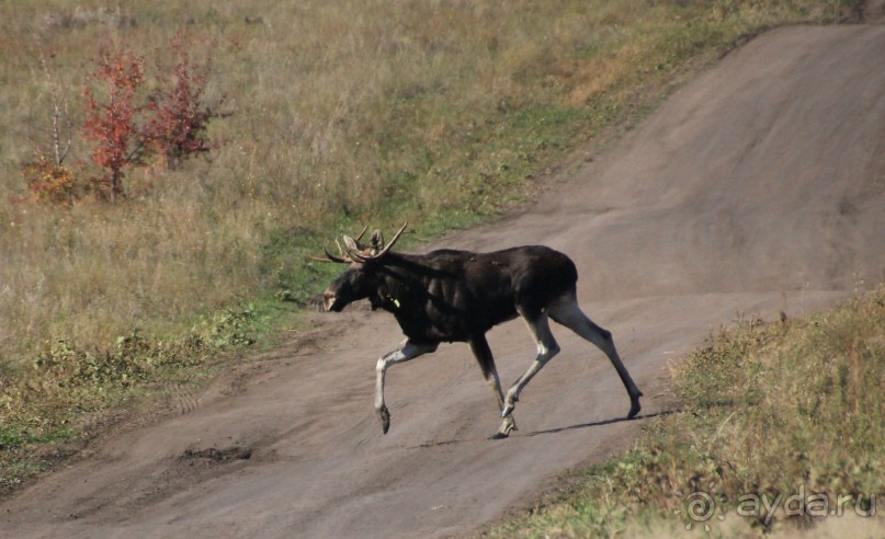 Душевный , спокойный, колоритный отдых на берегу Волги!!!