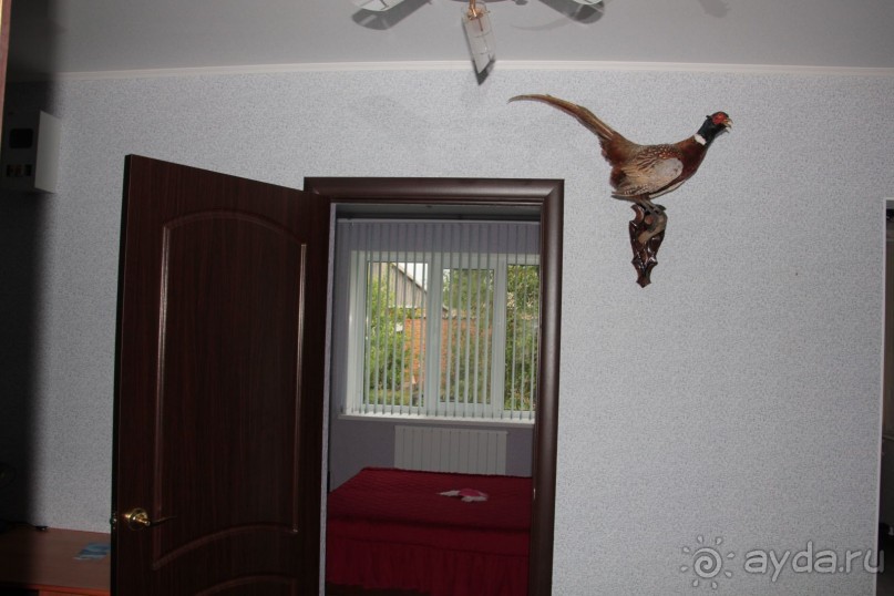 Душевный , спокойный, колоритный отдых на берегу Волги!!!