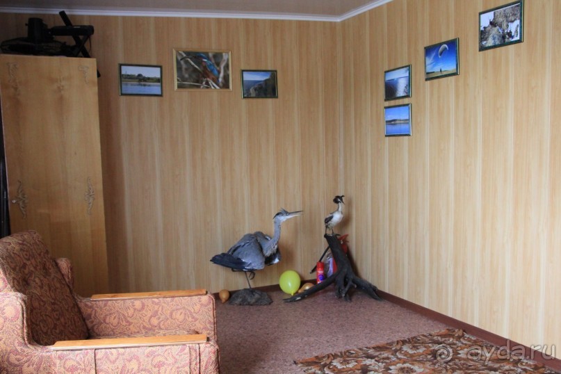 Душевный , спокойный, колоритный отдых на берегу Волги!!!