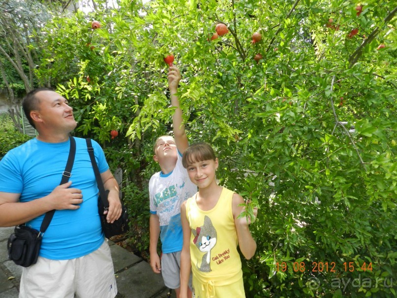 ПАНСИОНАТ ОТЛИЧНЫЙ!