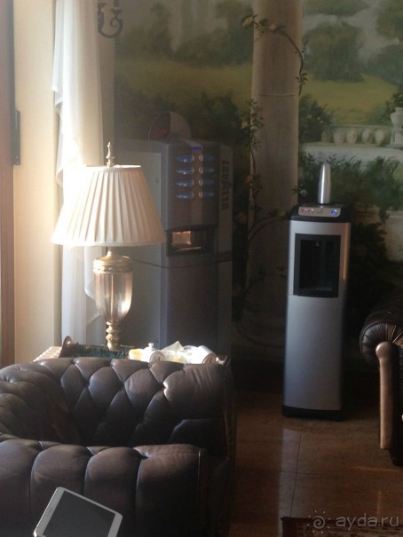 фото Alpha Palmiers