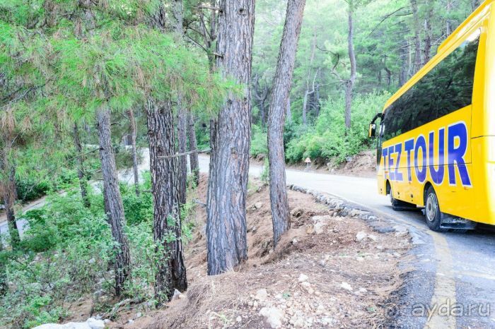 Отдых с Тез Тур