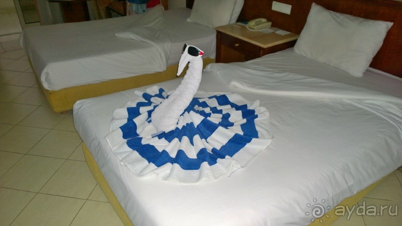 Отдых в Noria//