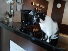 Отличный вариант для экономичного отдыха!