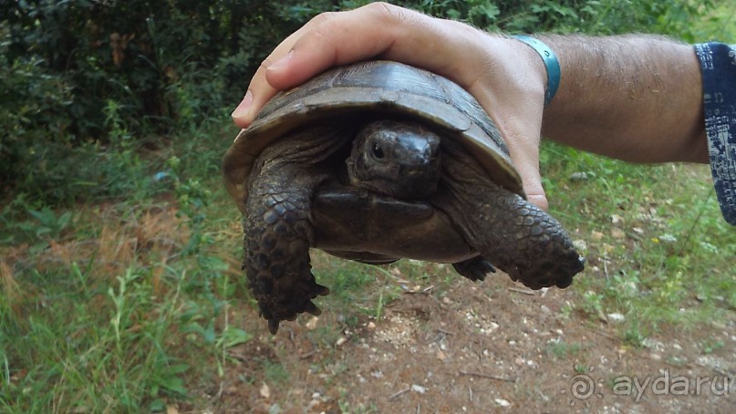 Отличный вариант для экономичного отдыха!