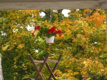 Золотая осень в Хельсинки - Суоменлинна. На пароме.