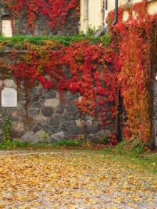 Золотая осень в Хельсинки - Суоменлинна. На пароме.