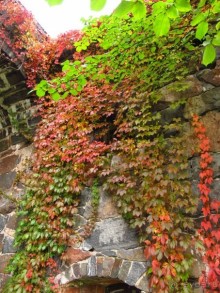 Альбом отзыва "Золотая осень в Хельсинки - Суоменлинна. На пароме."