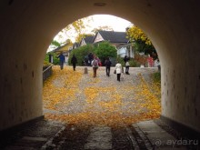Золотая осень в Хельсинки - Суоменлинна. На пароме.